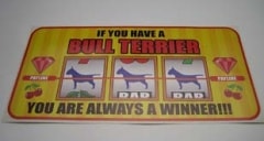 BULLTERRIER��Throttle����PMS00040��