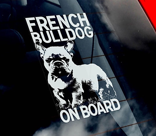 �ե����֥�ɥå���Car Window Sticker ��PMS00089��