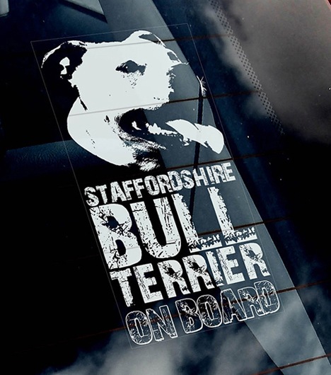 �����åե��� Car Window Sticker ��PMS00086��