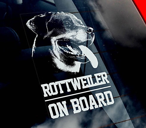 ���åȥ磻�顼 Car Window Sticker ��PMS00087��