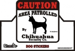 CAUTION��Chihuahua����PMS00051��