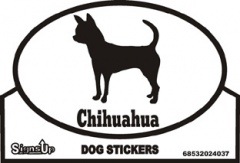 Chihuahua����PMS00068��
