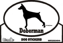 Doberman����PMS00064��