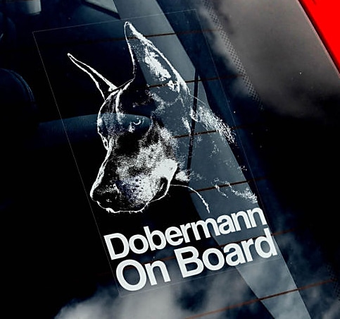 �ɡ��٥�ޥ� Car Window Sticker ��PMS00092��