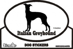 Italian Greyhound����PMS00066��