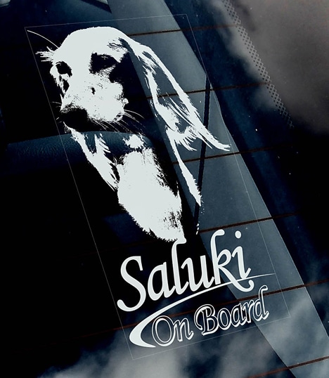 ���롼�� Car Window Sticker ��PMS00093��