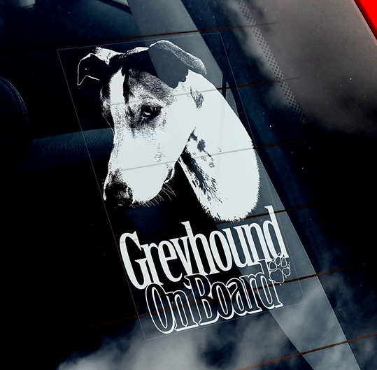 ���쥤�ϥ���� Car Window Sticker ��PMS00094��