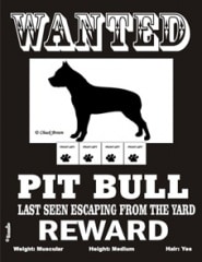 WANTED��PIT BULL����PMP00026��
