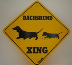 XING Dachshund����PMP00022��