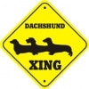 XING DACHSHUND 3PMP00055