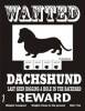 WANTED DACHSHUNDPMP00029