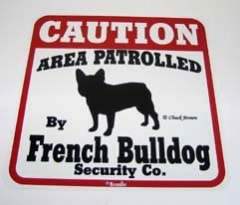 CAUTION French Bulldog ��PMP00011��