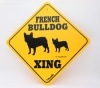 XING FRENCH BULLDOGPMP00049