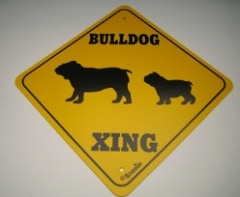 XING  BULLDOG ��PMP00015��