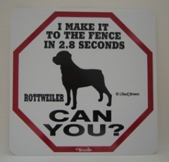 2.8SECONDS��ROTTWEILER����PMP00019��