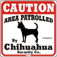 CAUTION��Chihuahua����PMP000035��