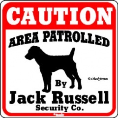 CAUTION��Jack Russell����PMP000038��