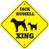 XING JACK RUSSELLPMP00052