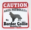 CAUTIONBorder ColliePMP000034