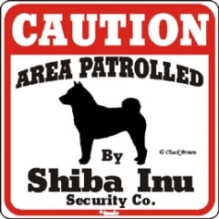 CAUTION��Shiba Inu����PMP000040��