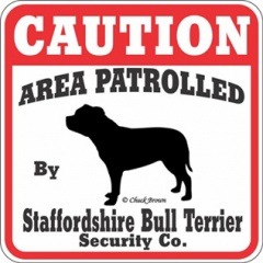 CAUTION Staffordshire Bull Terrier����PMP00065��