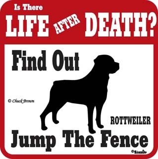 ROTTWEILER Find Out Jump The FencePMP00074