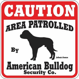 CAUTION American Bulldog ��PMP00073��