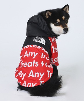 Windbreaker Black#4 PMW00020