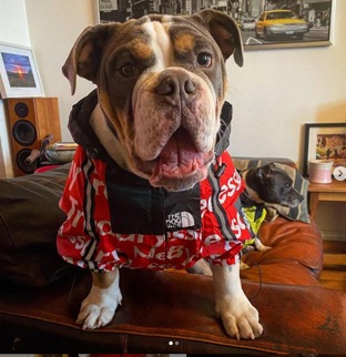 Windbreaker Black#4 PMW00020