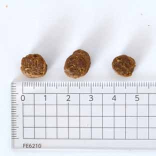 �ڥåȥ������ ���꡼��ȥ饤��&�Х������PMN0003��