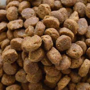 �ڥåȥ������ ���꡼��ȥ饤��&�Х������PMN0003��