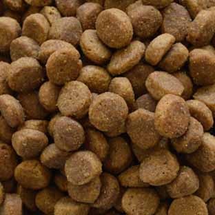 �ڥåȥ������ ���꡼����ȥ饤�ס�PMN0002��