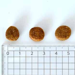 �ڥåȥ������ ���꡼����ȥ饤�ס�PMN0002��