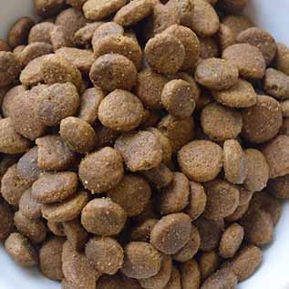 �ڥåȥ������ ���꡼��٥˥���ȥ饤�ס�PMN0005��