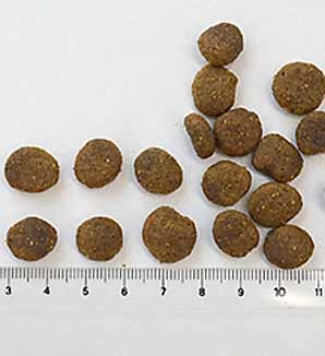 �ڥåȥ������ ���꡼��٥˥���ȥ饤�ס�PMN0005��