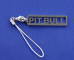 PitBull ӥȥåס2 PMG00007