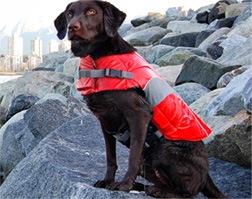 Canine Lifejacket PMK00006