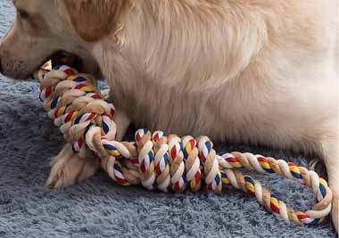 Big Cotton Rope Toy #1PME00042