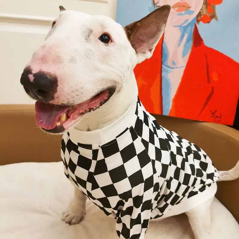 �֥��å������å����ԥ���� ��PMW00021��