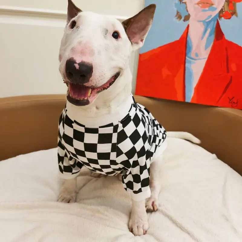 �֥��å������å����ԥ���� ��PMW00021��