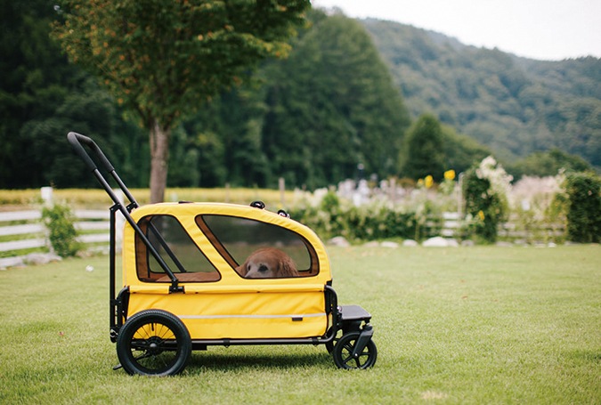 AIRBUGGYCARRIAGE å PMK00016