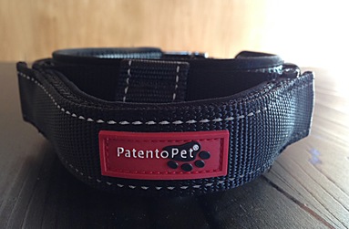 ���̥ϥ�ɥ��դ�Premium Collar ��PMC00057��