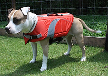 Canine Lifejacket PMK00006