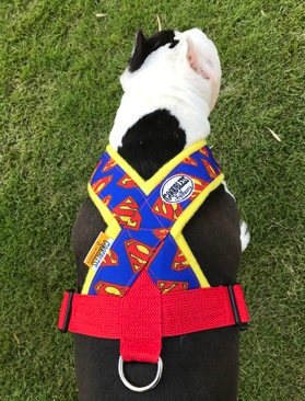 Fleece Harness S��PMC00083��