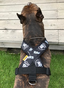 Fleece Harness R��PMC00084��