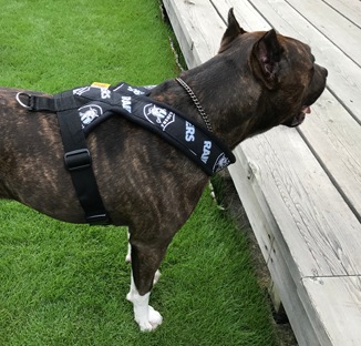 Fleece Harness R��PMC00084��