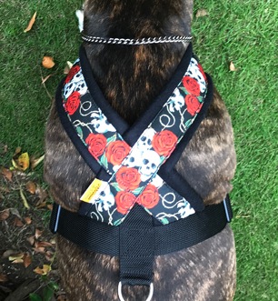 Fleece Harness �������PMC00085��