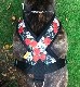 Fleece Harness �������PMC00085��