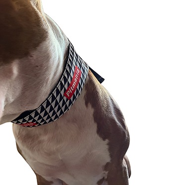 Cool Collar #2��PMK00017��