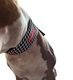 Cool Collar #2��PMK00017��
